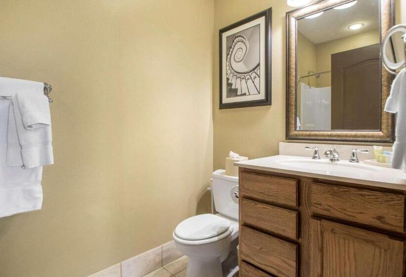 Люкс Адаптированный для Инвалидов, Bluegreen Vacations Odyssey Dells Resort