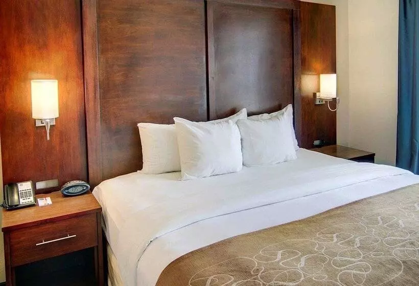スイート, Comfort Suites Texarkana Arkansas