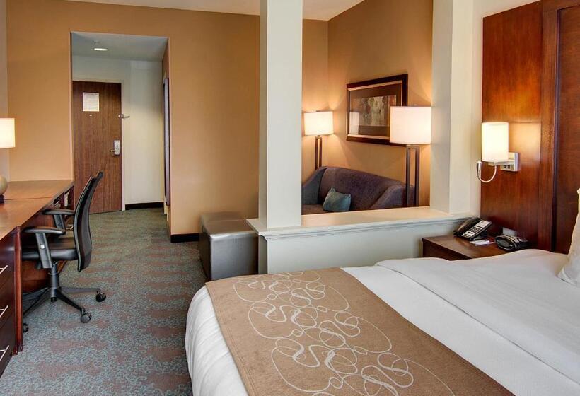 Люкс Кровать Кинг, Comfort Suites Texarkana Arkansas
