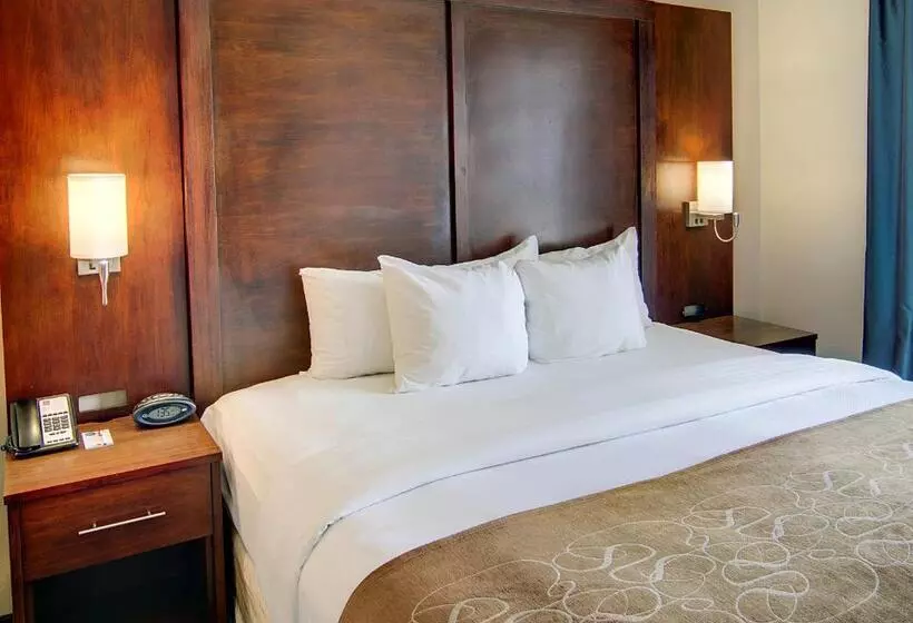 キングサイズベッドのスイートルーム, Comfort Suites Texarkana Arkansas