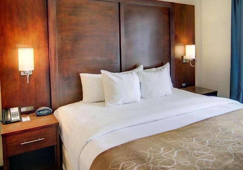 جناح سرير كينج, Comfort Suites Texarkana Arkansas
