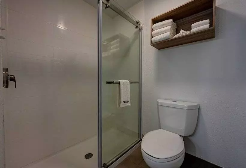 キングサイズベッドのスタンダードルーム, Country Inn & Suites By Radisson, Pierre, Sd