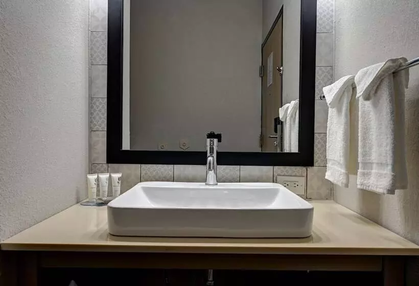 キングサイズベッドのスタンダードルーム, Country Inn & Suites By Radisson, Pierre, Sd