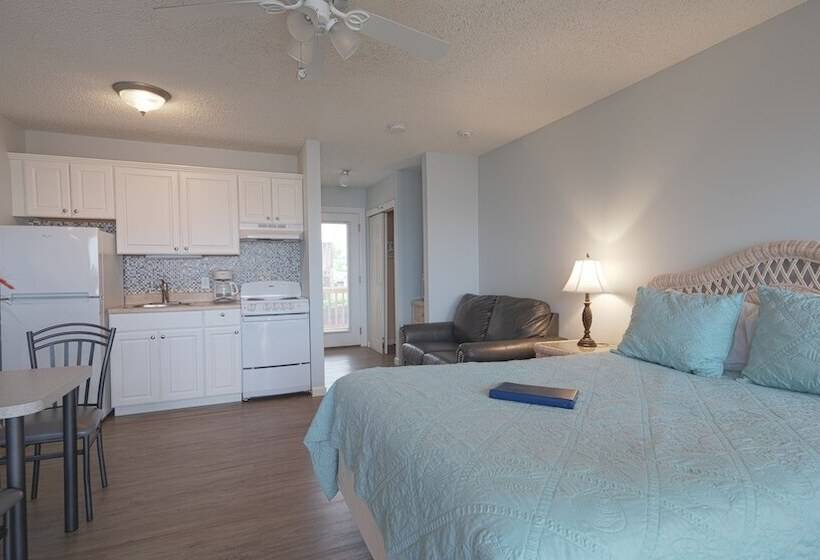 إستوديو قياسى ذو إطلالة, Sun N Sound