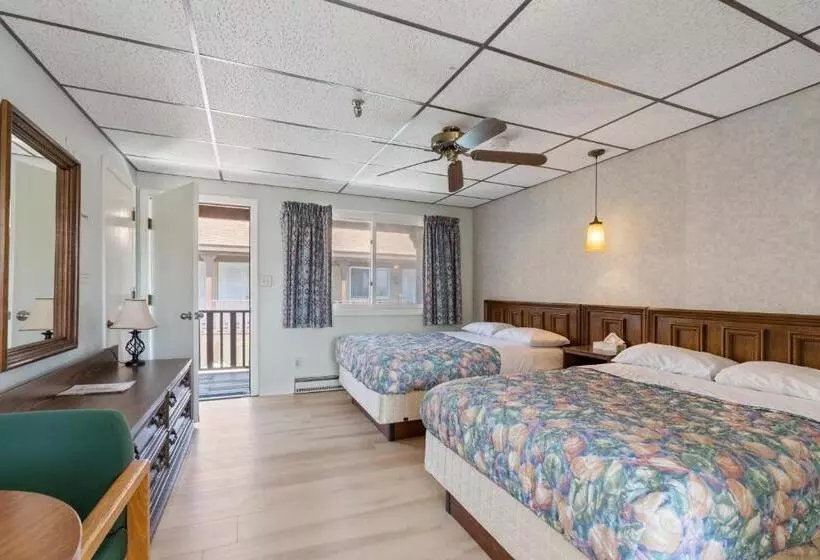 スタンダードルーム, The Carolina Motel