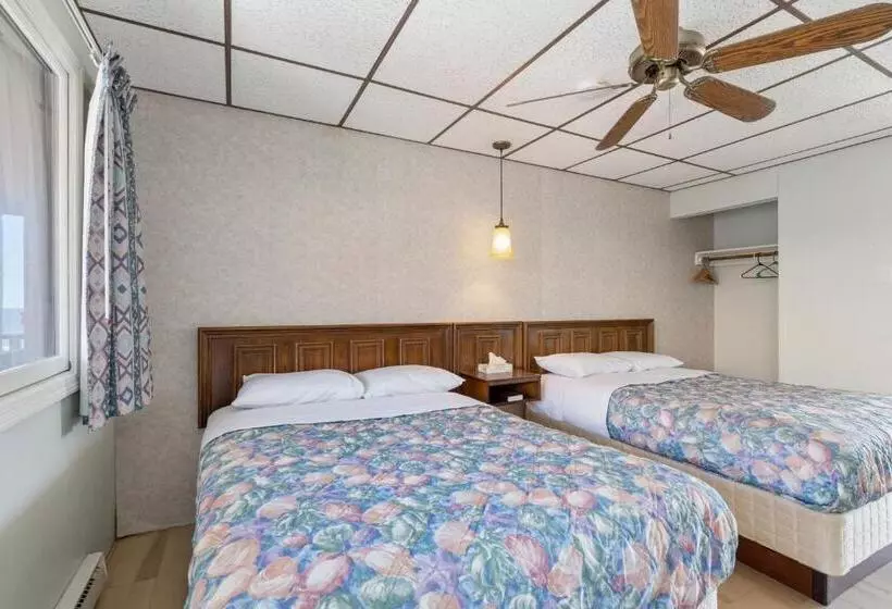 スタンダードルーム, The Carolina Motel