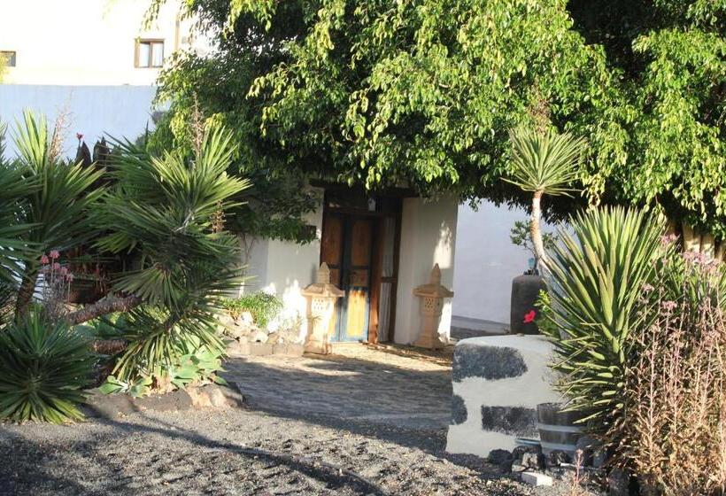 스탠다드 스튜디오, Finca Tomaren