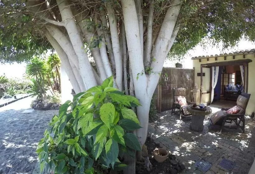 ویلای لوکس 1 خوابه, Finca Tomaren