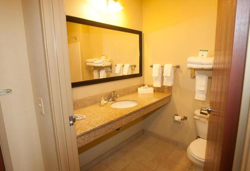 غرفة قياسية, Cobblestone Inn & Suites  Carrington