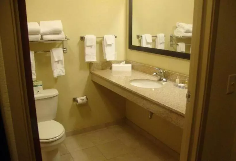 スタンダードルーム, Cobblestone Inn & Suites Carrington
