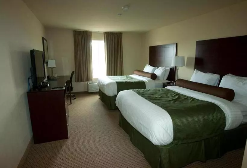 身障者適用スタンダードルーム, Cobblestone Inn & Suites Carrington