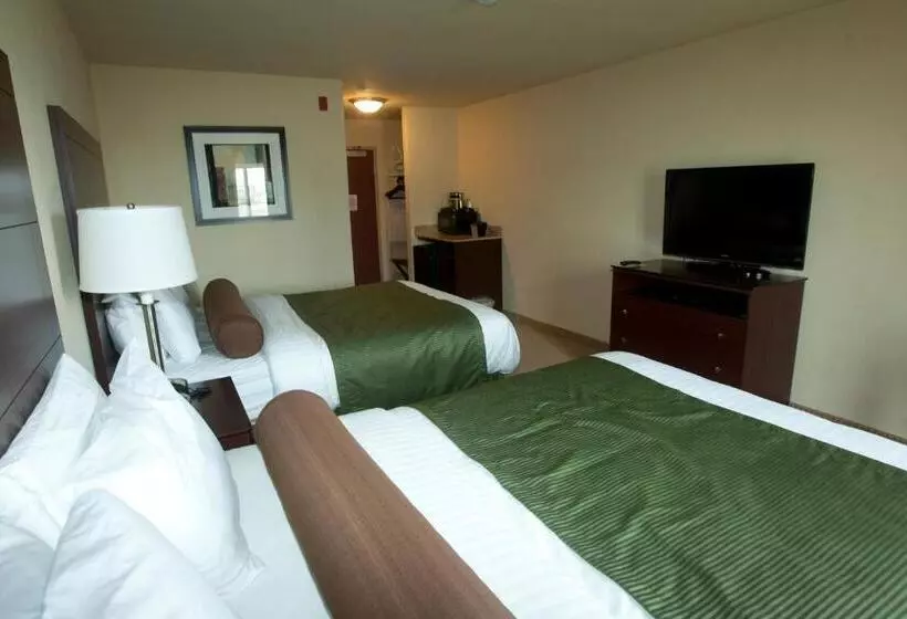 身障者適用スタンダードルーム, Cobblestone Inn & Suites Carrington