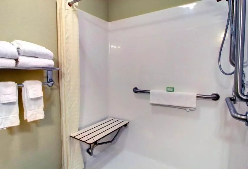 身障者適用キングサイズベッドルーム, Cobblestone Inn & Suites Carrington