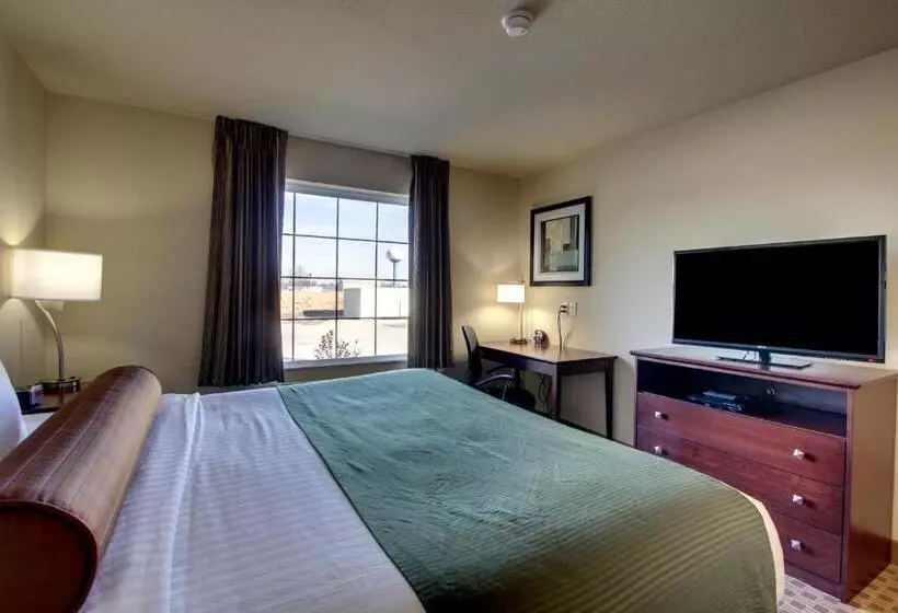 身障者適用キングサイズベッドルーム, Cobblestone Inn & Suites Carrington