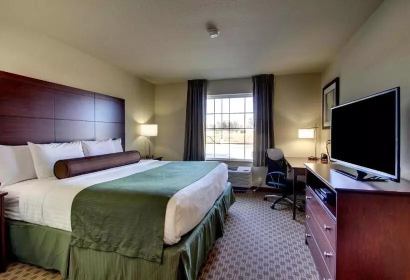 身障者適用キングサイズベッドルーム, Cobblestone Inn & Suites Carrington