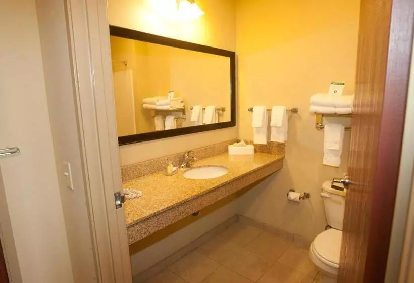 キングサイズベッドのスイートルーム, Cobblestone Inn & Suites Carrington