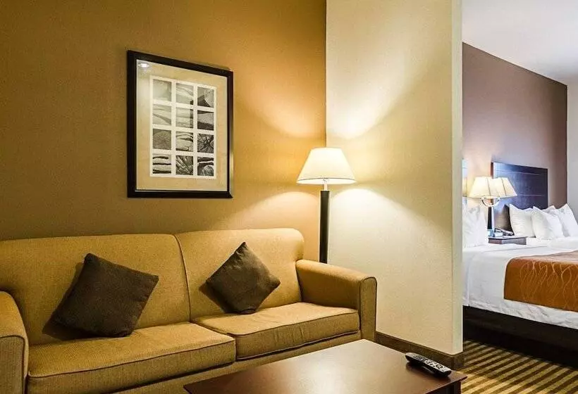 スイート, Comfort Inn & Suites Lawrence  University Area