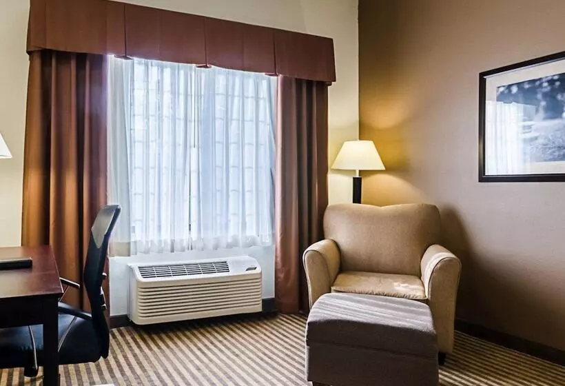 スイート, Comfort Inn & Suites Lawrence  University Area