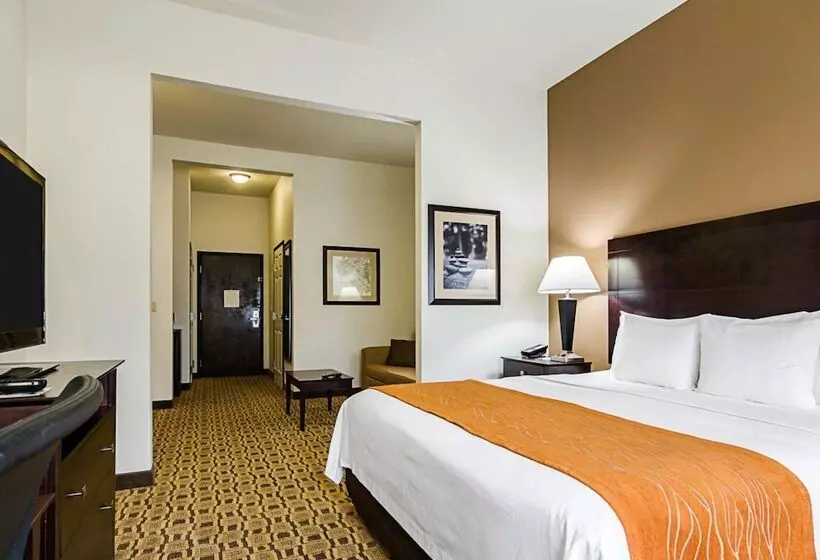 スイート, Comfort Inn & Suites Lawrence  University Area
