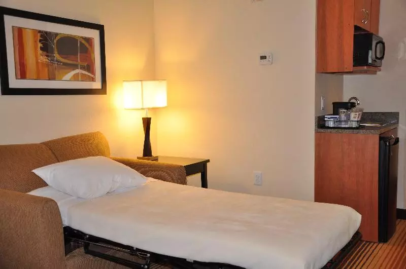 キングサイズベッドのスイートルーム, Holiday Inn Express Hotel & Suites Prattville South, An Ihg