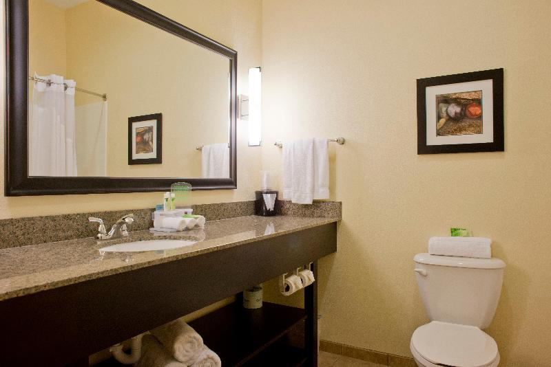 스위트, Holiday Inn Express Hotel & Suites Prattville South, An Ihg