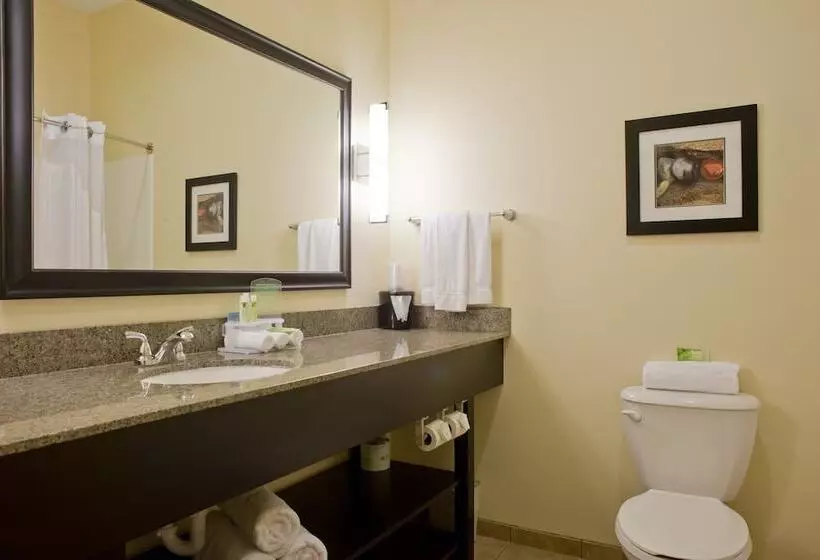 スイート, Holiday Inn Express Hotel & Suites Prattville South, An Ihg