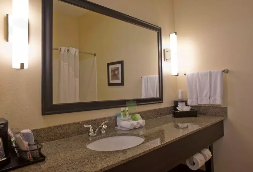 スタンダードルーム, Holiday Inn Express Hotel & Suites Prattville South, An Ihg