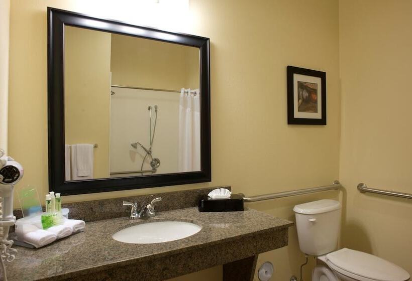 장애인을 위한 스위트, Holiday Inn Express Hotel & Suites Prattville South, An Ihg