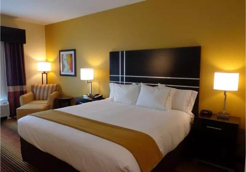 キングサイズベッドのスタンダードルーム, Holiday Inn Express Hotel & Suites Prattville South, An Ihg