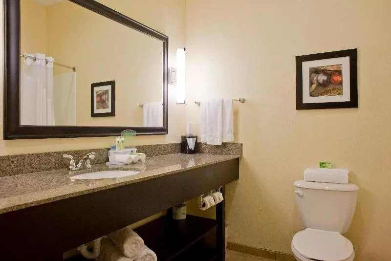 キングサイズベッドのスイートルーム, Holiday Inn Express Hotel & Suites Prattville South, An Ihg