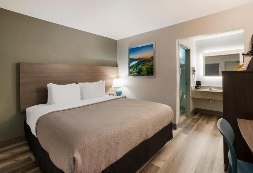 キングサイズベッドのスタンダードルーム, Quality Inn Elk Grove Sacramento