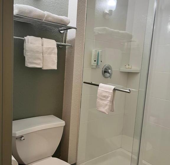 スタンダードルーム, Quality Inn Elk Grove Sacramento