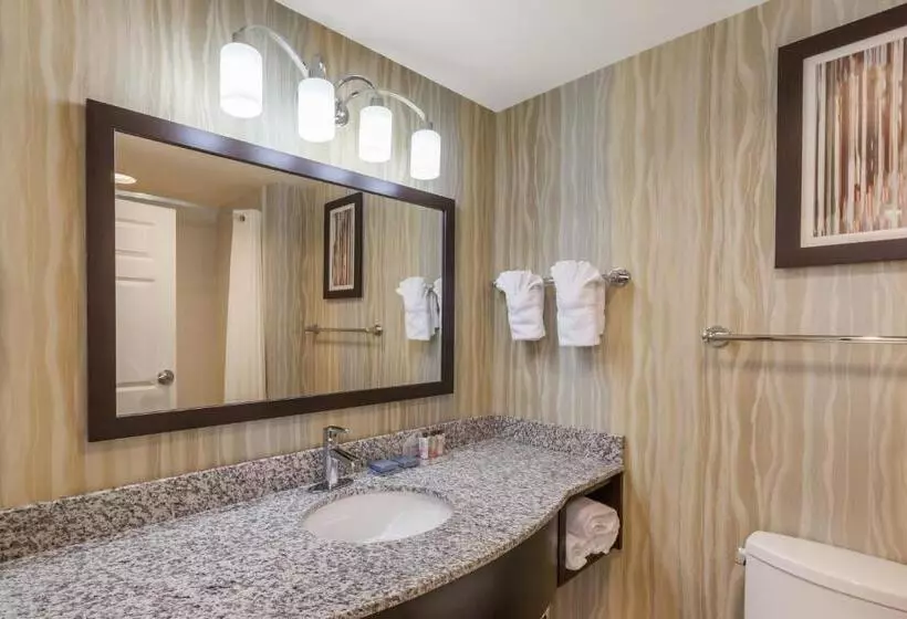 キングサイズベッドのスタンダードルーム, La Quinta Inn & Suites By Wyndham Tulsa Midtown