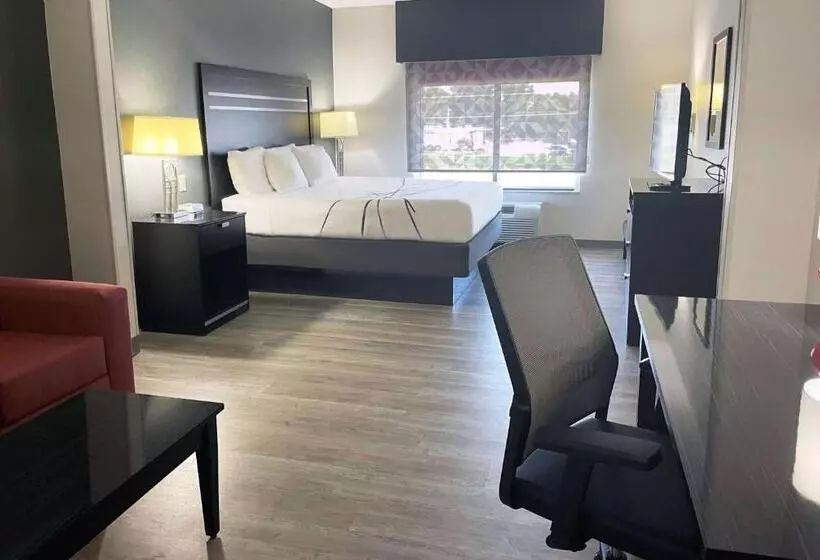 身障者適用キングサイズベッドルーム, La Quinta Inn & Suites By Wyndham Tulsa Midtown