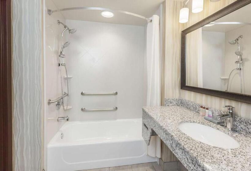 חדר סטנדרט מותאם לאדם עם מוגבלויות, La Quinta Inn & Suites By Wyndham Tulsa Midtown