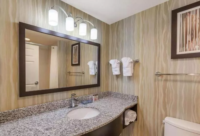 キングサイズベッドのデラックススイート, La Quinta Inn & Suites By Wyndham Tulsa Midtown