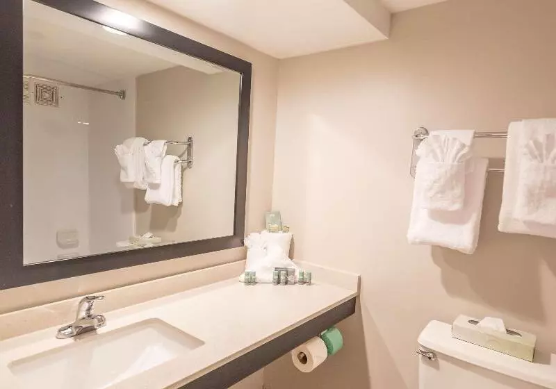 ビラホテル１ベッドルーム, Anantara Sir Bani Yas Island Al Yamm Villa Resort
