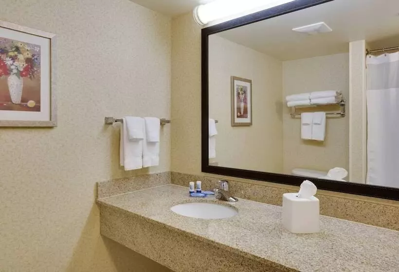 Standard-studio, Fairfield Inn And Suites South Hill I 85