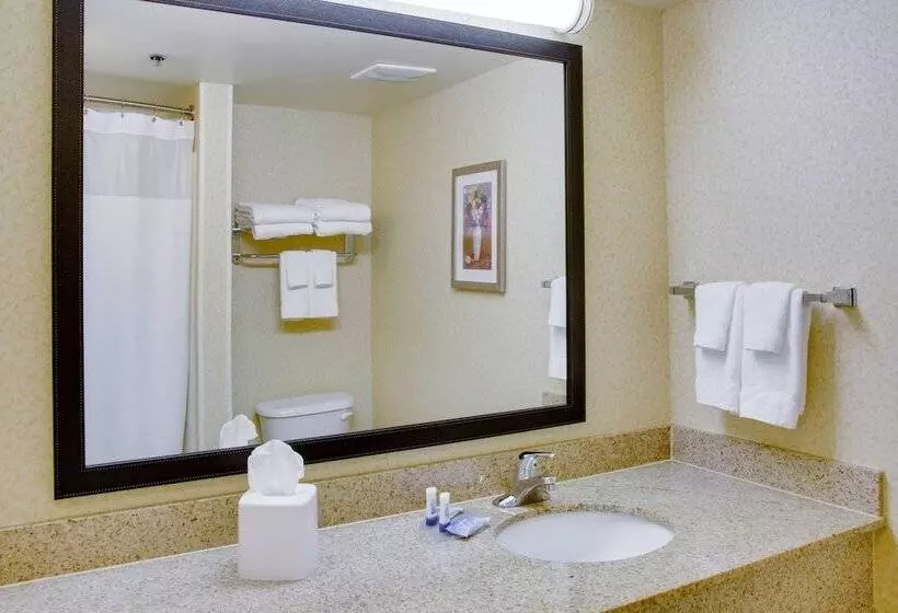 Standard-studio, Fairfield Inn And Suites South Hill I 85