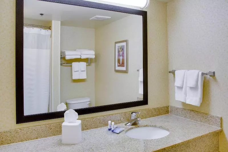 Standard-studio King-vuode, Fairfield Inn And Suites South Hill I 85