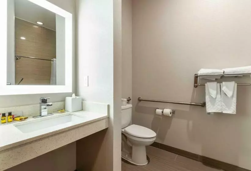 身障者適用キングサイズベッドルーム, Best Western Plus Pleasanton