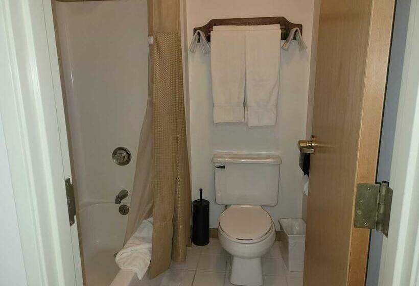 带2个双人床的标准工作室, Brook Pointe Inn