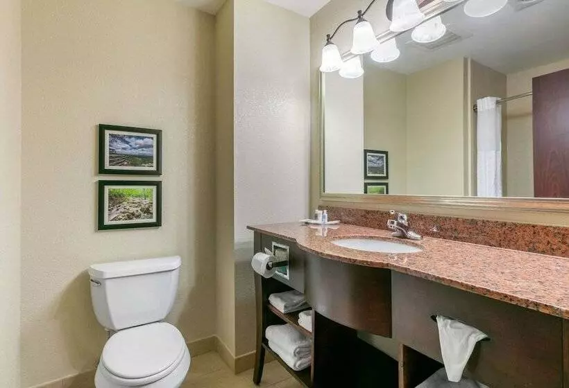 スイート, Comfort Suites