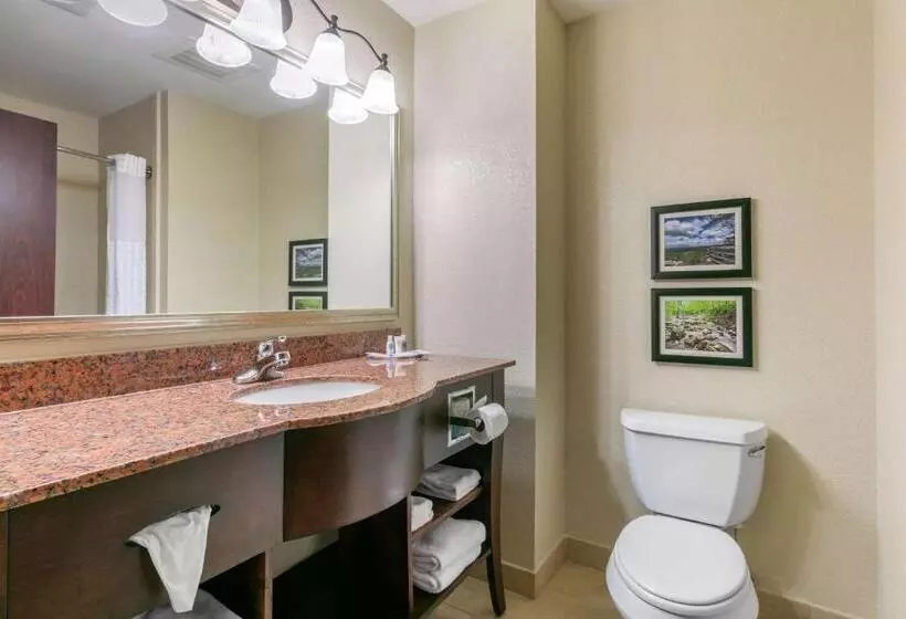キングサイズベッドのスイートルーム, Comfort Suites