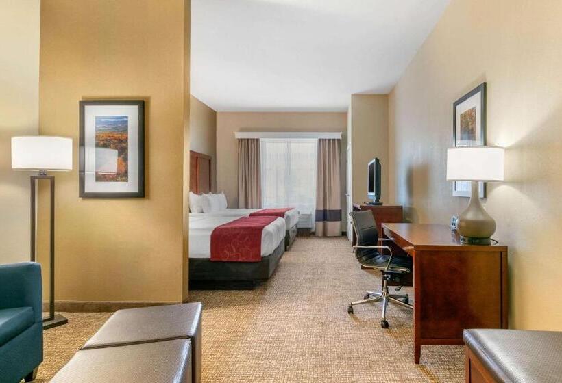 套房, Comfort Suites