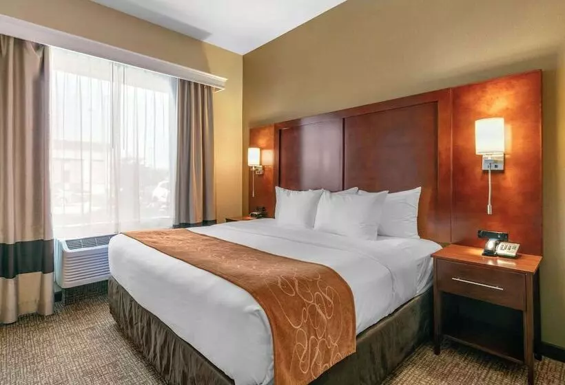 身障者適用スイートルーム, Comfort Suites