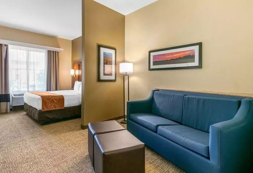 身障者適用スイートルーム, Comfort Suites