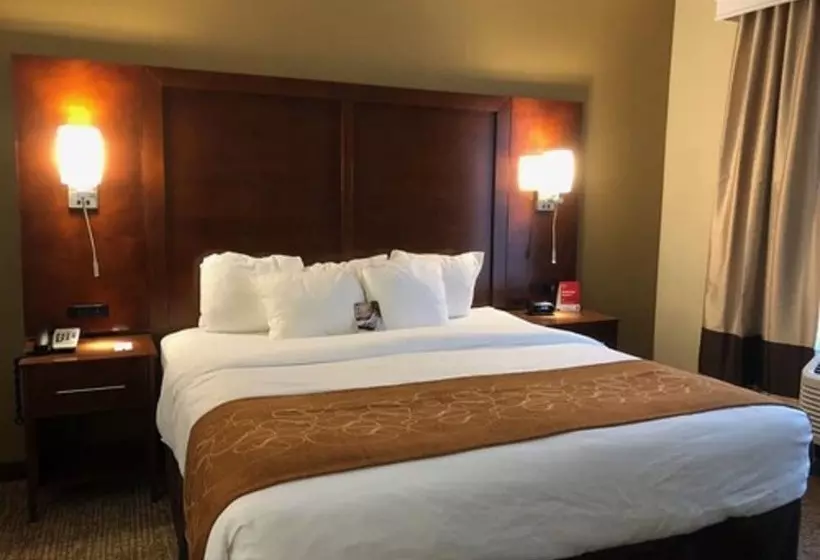 スイート, Comfort Suites