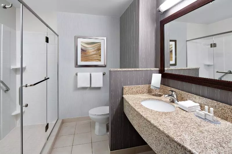 اتاق استاندارد با تخت بزرگ, Courtyard By Marriott Raleigh North/triangle Town Center