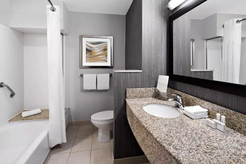 اتاق استاندارد با تخت بزرگ, Courtyard By Marriott Raleigh North/triangle Town Center
